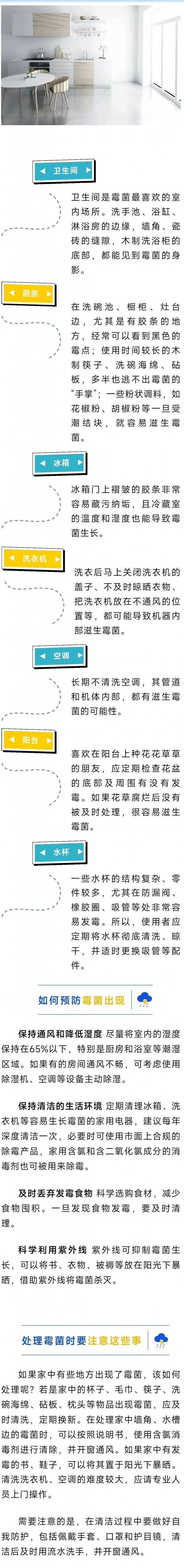 微信圖片_20240809094725.jpg